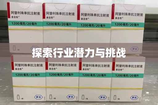 周口探索行业潜力与挑战
