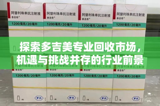 周口探索多吉美专业回收市场，机遇与挑战并存的行业前景