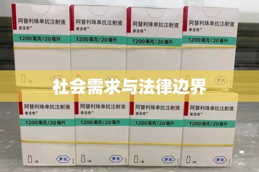 周口社会需求与法律边界